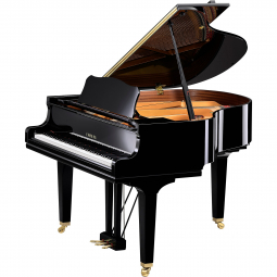 GCB (Polished Ebony), зображення 1