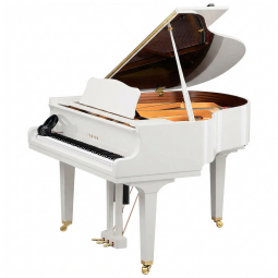 Yamaha DGCB DISKLAVIER ENSPIRE ST (Polished White), зображення 1