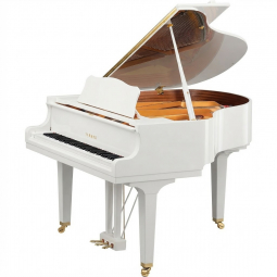 GCB (Polished White), зображення 1