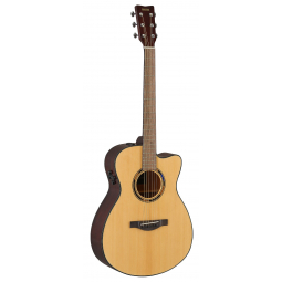 TAS1C TransAcoustic (Natural), зображення 1