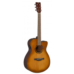 TAS1C TransAcoustic (Sand Burst), зображення 1