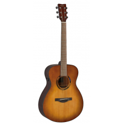 TAS1E TransAcoustic (Sand Burst), зображення 1