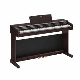 ARIUS YDP-146 (Dark Rosewood), зображення 1