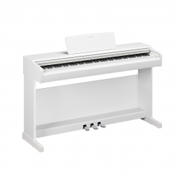 ARIUS YDP-146 (White), зображення 1