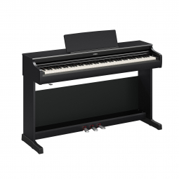 ARIUS YDP-166 (Black), зображення 1