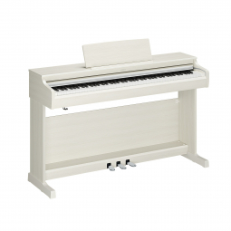 ARIUS YDP-166 (White Birch), зображення 1
