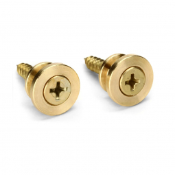 D'Addario PWEP302 BRASS END PIN, зображення 1